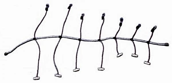 Yelken sarma lastiği (ahtapot) 10MMX300CM