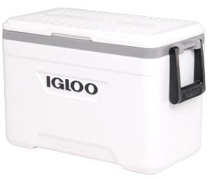 Igloo Buzluk